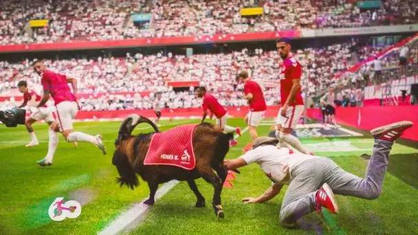 Cược Tài Xỉu (Over/Under Betting)